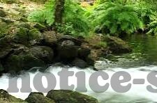 放置海岛九游版下载-放置海岛九游版，探索未知岛屿的奇幻旅程