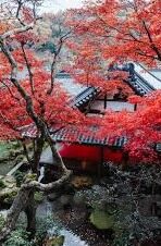 乐鱼app体育在线登录-乐鱼APP体育在线登录，开启便捷体育竞技的新篇章