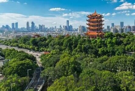 足球比分完赛网-足球比分完赛网，球迷的实时数据乐园与深度分析宝库