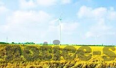 足球法国对秘鲁比分-法国VS秘鲁，一场技术与意志的巅峰对决，比分背后的故事